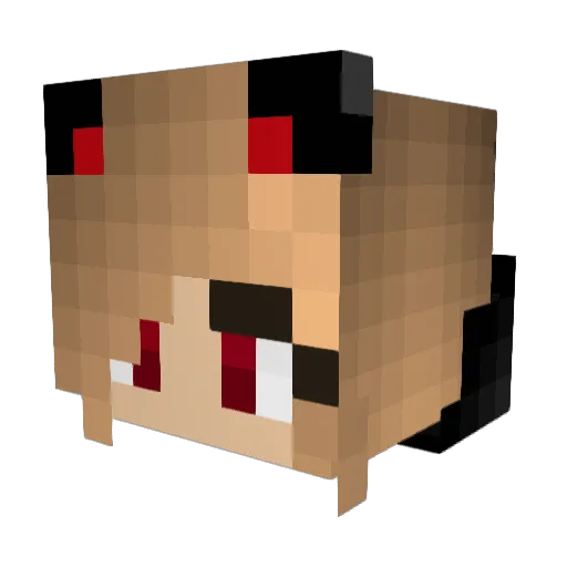 DreamXOX0 Minecraft avatar head, 3D render