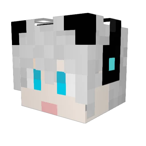 Dream_winter Minecraft avatar head, 3D render