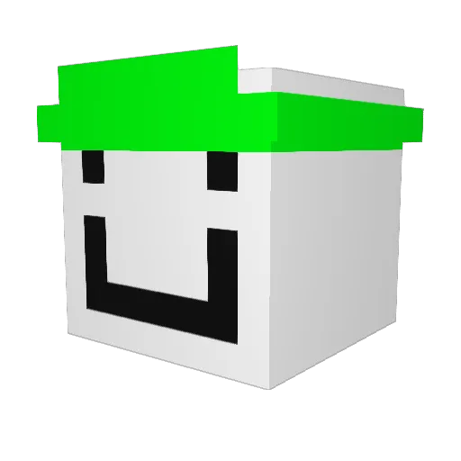 Dreamboy1019 Minecraft avatar head, 3D render