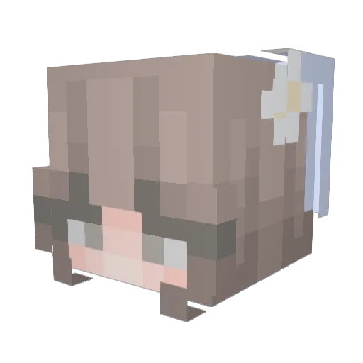 Dreamcar123 Minecraft avatar head, 3D render