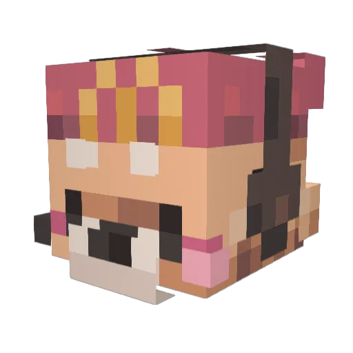 DreamcatcherMan Minecraft avatar head, 3D render