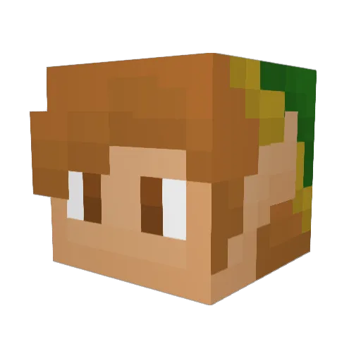 Dreamer00 Minecraft avatar head, 3D render
