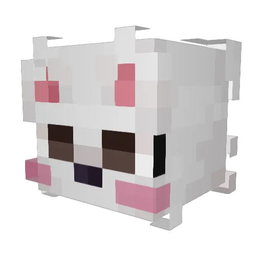 Dreamer2708 Minecraft avatar head, 3D render