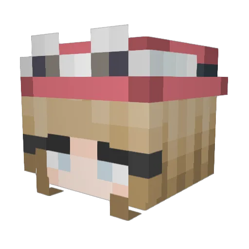 Dreamer3319 Minecraft avatar head, 3D render