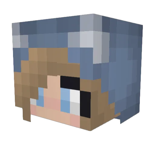 Dreamer54123 Minecraft avatar head, 3D render