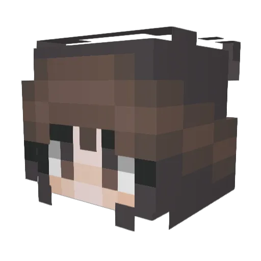 DreamerLuvsYou Minecraft avatar head, 3D render