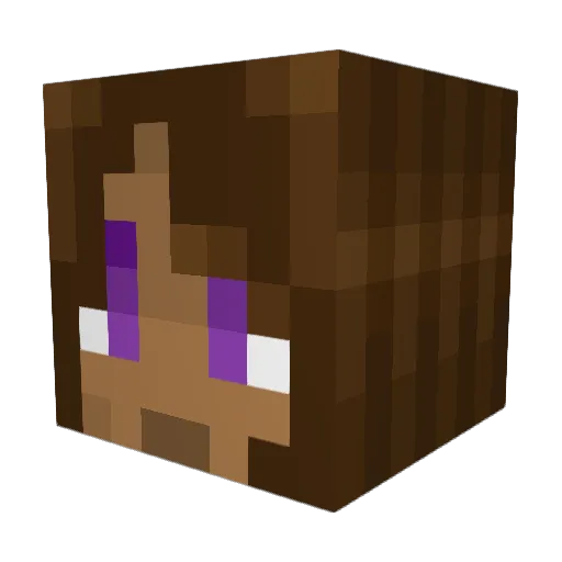 DreamerWithin Minecraft avatar head, 3D render