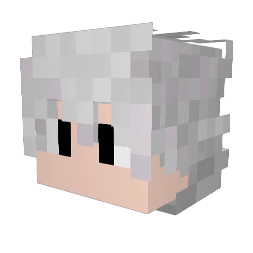 Dreamer_Man Minecraft avatar head, 3D render