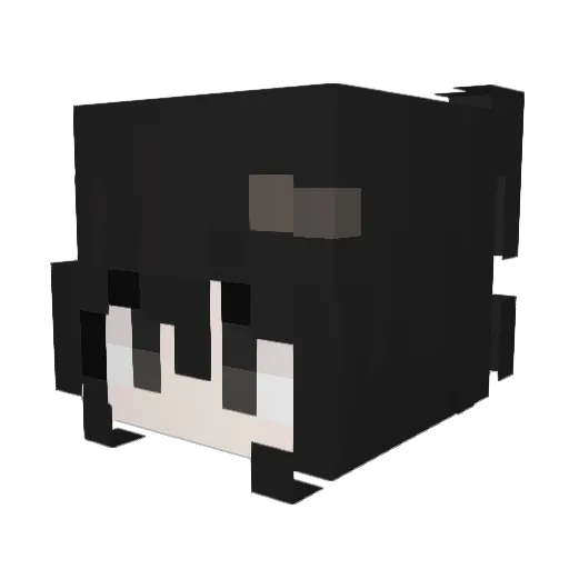 Dreamer_Zzz Minecraft avatar head, 3D render