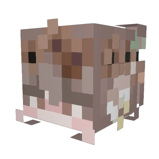 Dreamers_Era Minecraft avatar head, 3D render