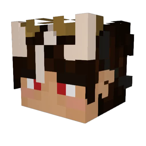 Dreamfan456 Minecraft avatar head, 3D render