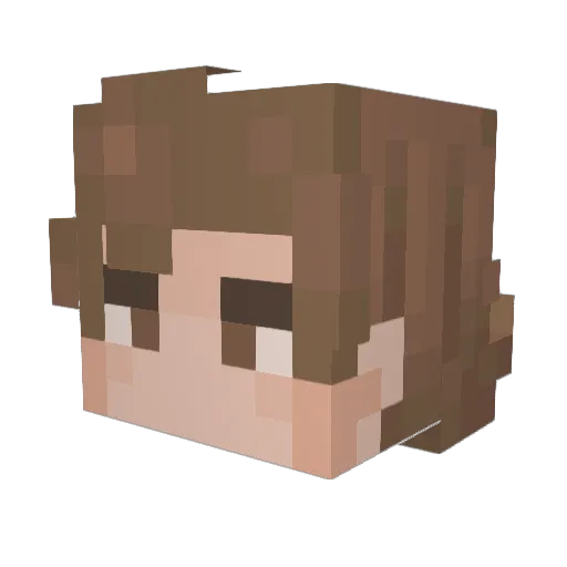 Dreamfynder Minecraft avatar head, 3D render