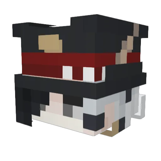 Dreamicx Minecraft avatar head, 3D render