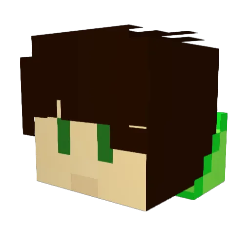DreamingGreating Minecraft avatar head, 3D render