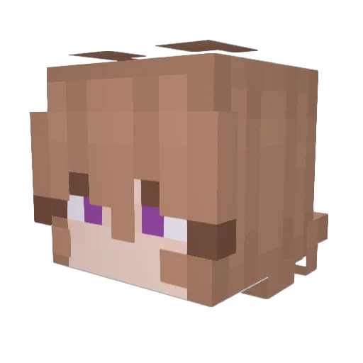 DreamingWatcher Minecraft avatar head, 3D render