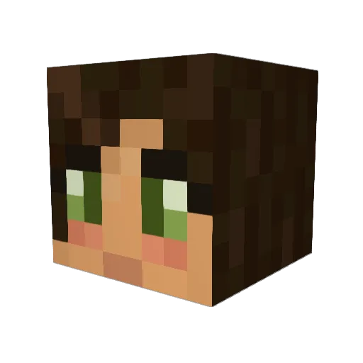 Dreamium Minecraft avatar head, 3D render