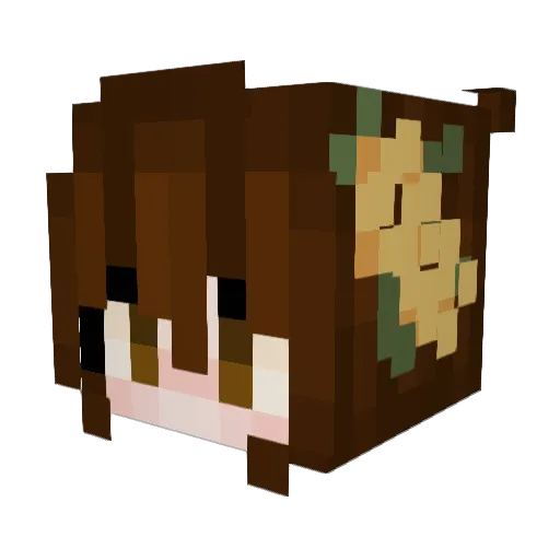 Dreamkiller8097 Minecraft avatar head, 3D render