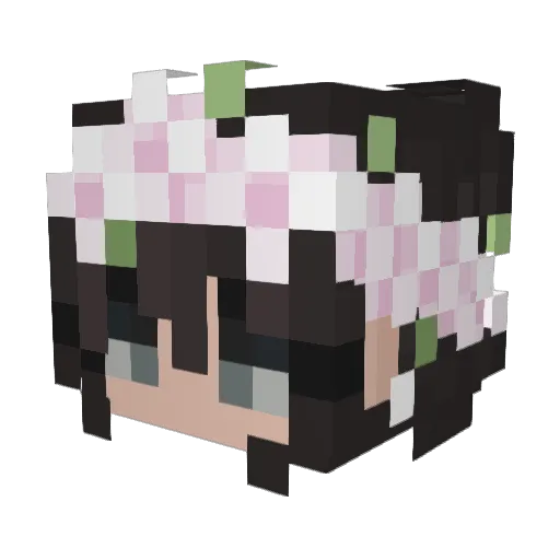 Dreamm69 Minecraft avatar head, 3D render