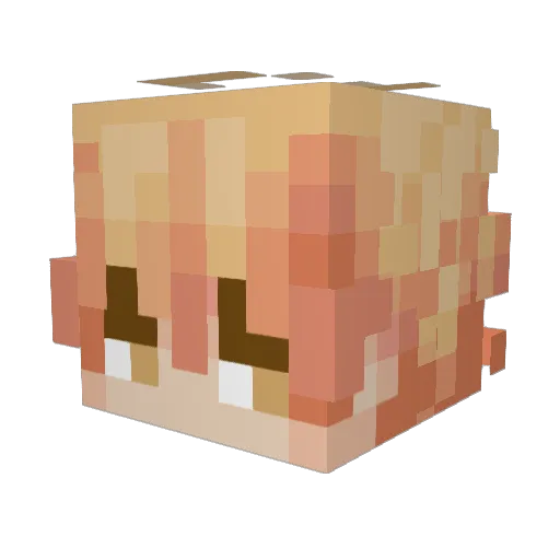 Dreamnes Minecraft avatar head, 3D render