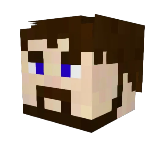 Dreamweavers Minecraft avatar head, 3D render