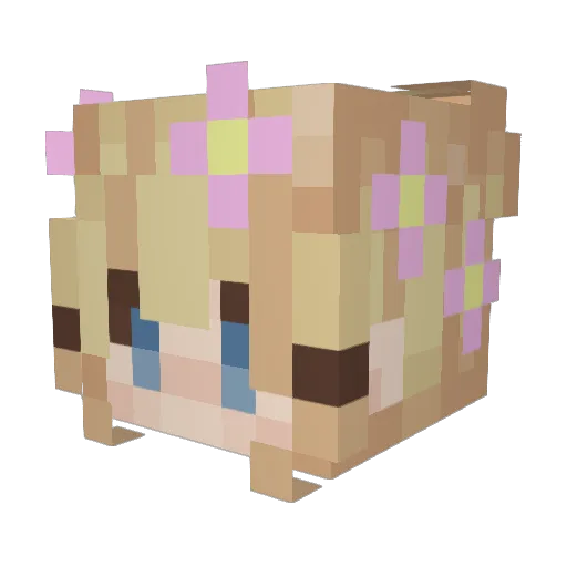 DreamyCookie8 Minecraft avatar head, 3D render