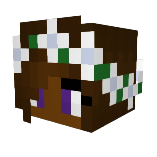 DreamyFox33 Minecraft avatar head, 3D render
