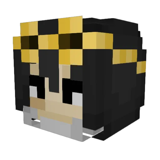 DreamySeal Minecraft avatar head, 3D render