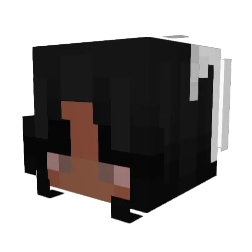 DreamyStars Minecraft avatar head, 3D render