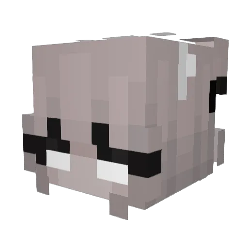 Dreamy_shy Minecraft avatar head, 3D render
