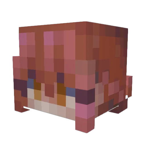 Dreamypooh Minecraft avatar head, 3D render