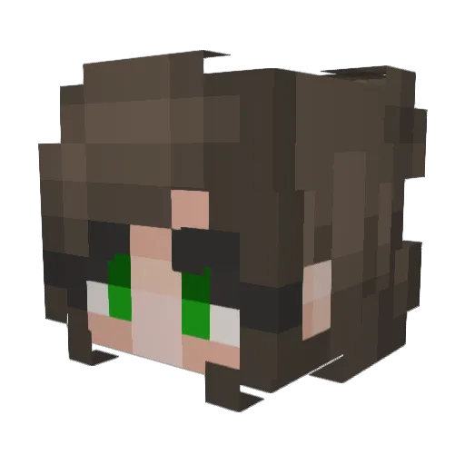 Dreanator Minecraft avatar head, 3D render