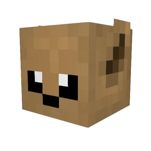 Drecrel2 Minecraft avatar head, 3D render