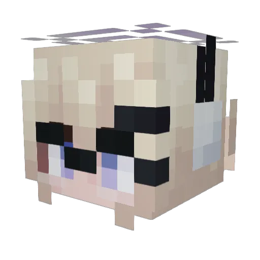 Drect0201 Minecraft avatar head, 3D render