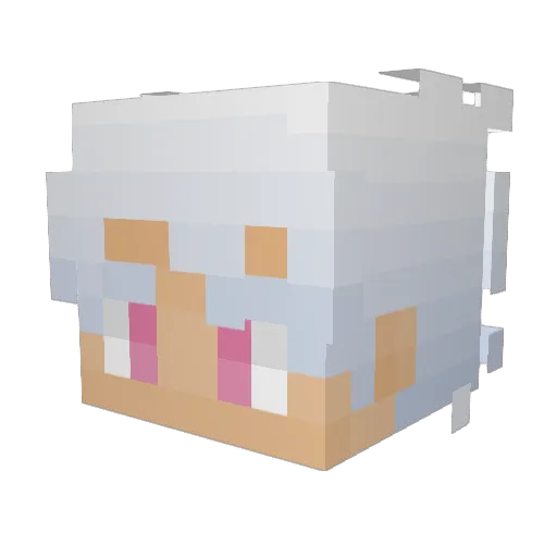 DredgenNova Minecraft avatar head, 3D render