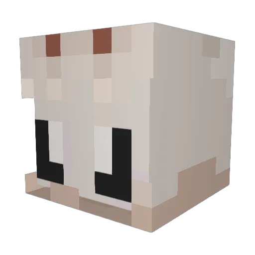 Dreiiora Minecraft avatar head, 3D render