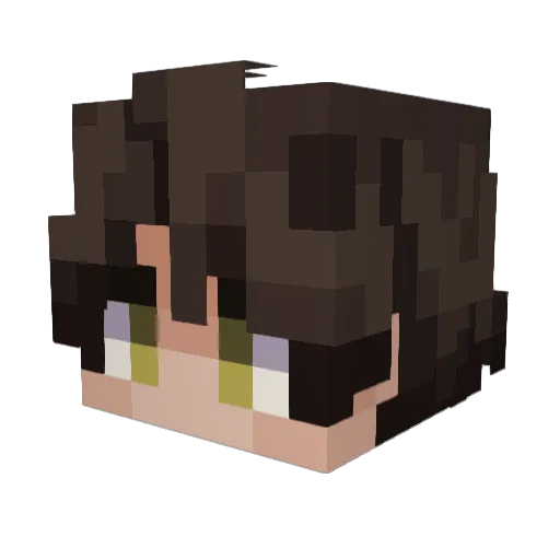 Dreinn Minecraft avatar head, 3D render
