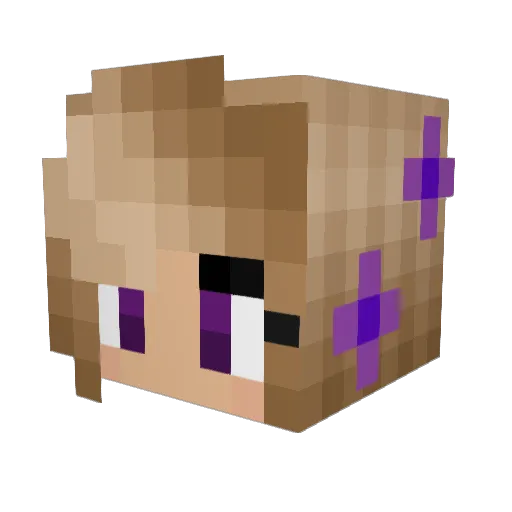 Dremlorr Minecraft avatar head, 3D render