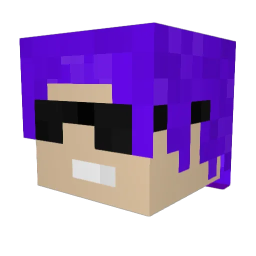 DrenchedDillan Minecraft avatar head, 3D render