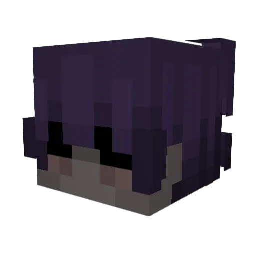Drennon Minecraft avatar head, 3D render
