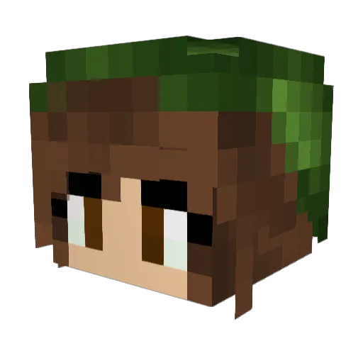 Drenyrr Minecraft avatar head, 3D render