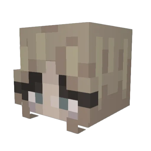 DreonixYT Minecraft avatar head, 3D render