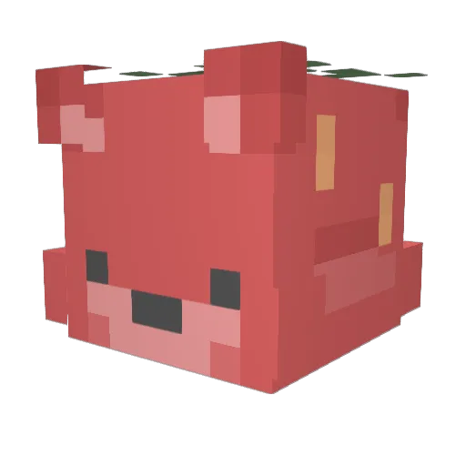 Drerdbeerbaer Minecraft avatar head, 3D render