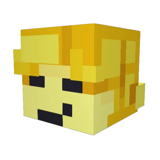 Dresden6 Minecraft avatar head, 3D render