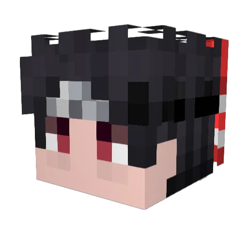 Dreskoo Minecraft avatar head, 3D render