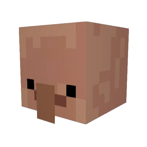 Drevinzz Minecraft avatar head, 3D render