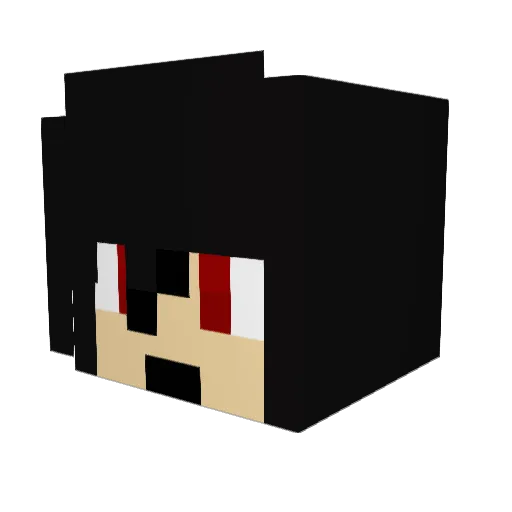 Drew101019888 Minecraft avatar head, 3D render