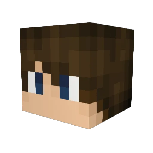 Drew1011 Minecraft avatar head, 3D render