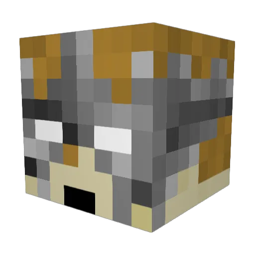 Drew1115 Minecraft avatar head, 3D render