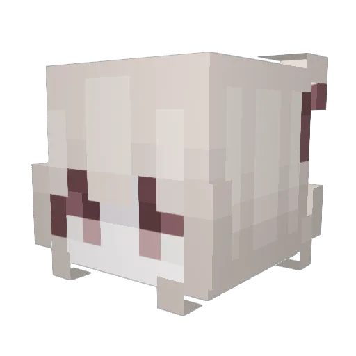 Drew Minecraft avatar head, 3D render