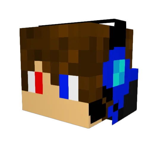 DrewC2010 Minecraft avatar head, 3D render